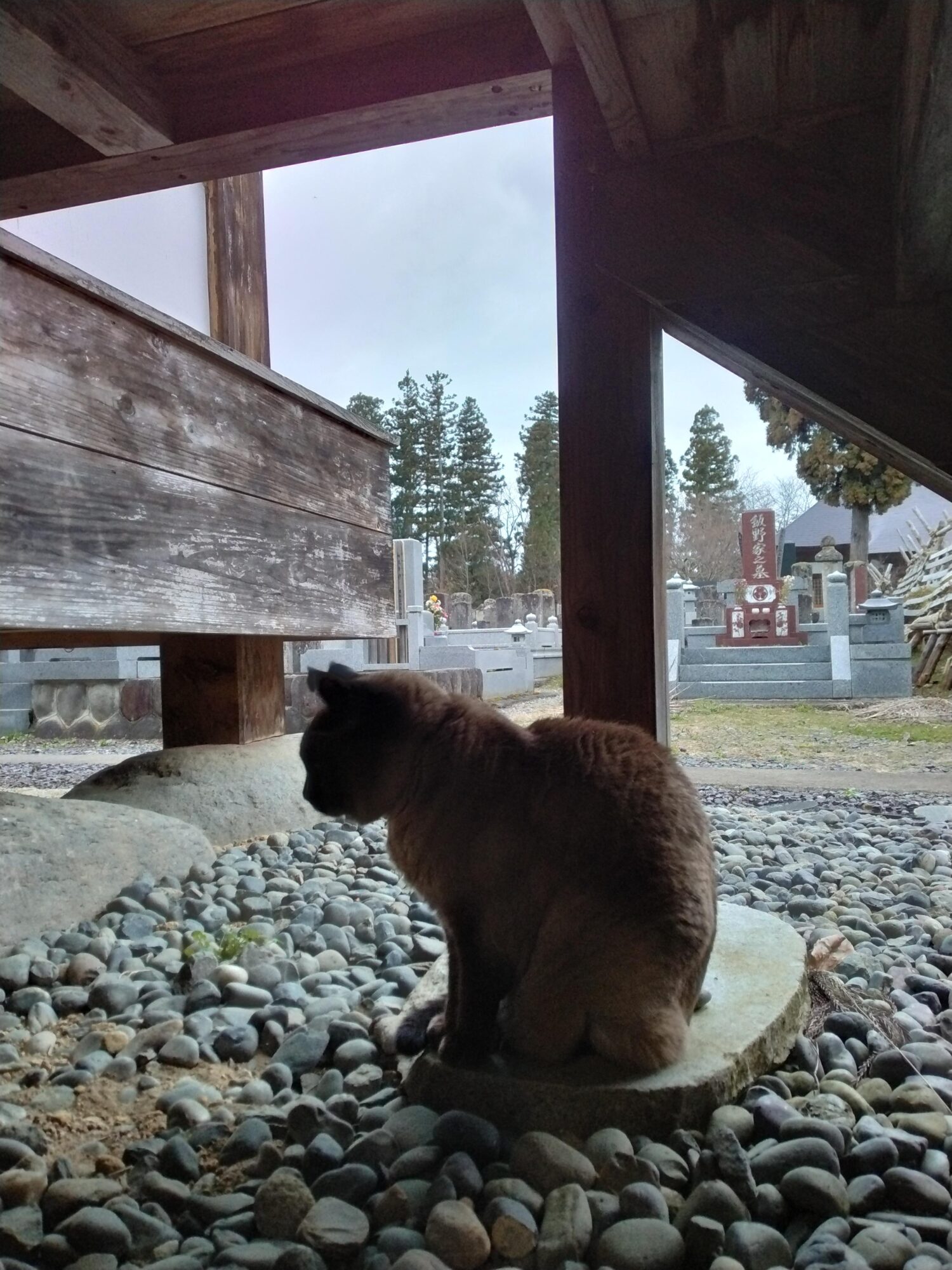 img_20230323_172239-jpg