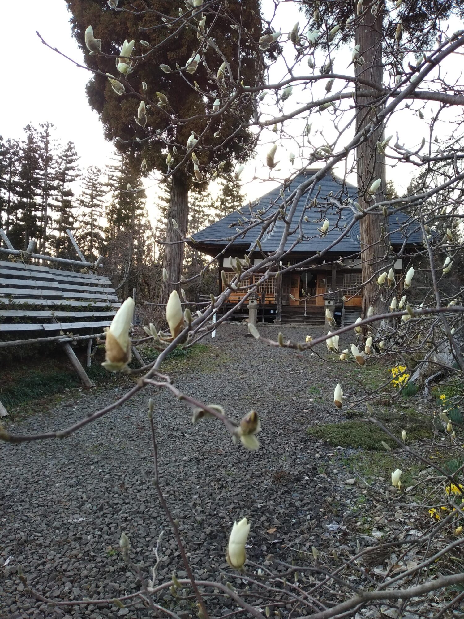 img_20230327_171211-jpg