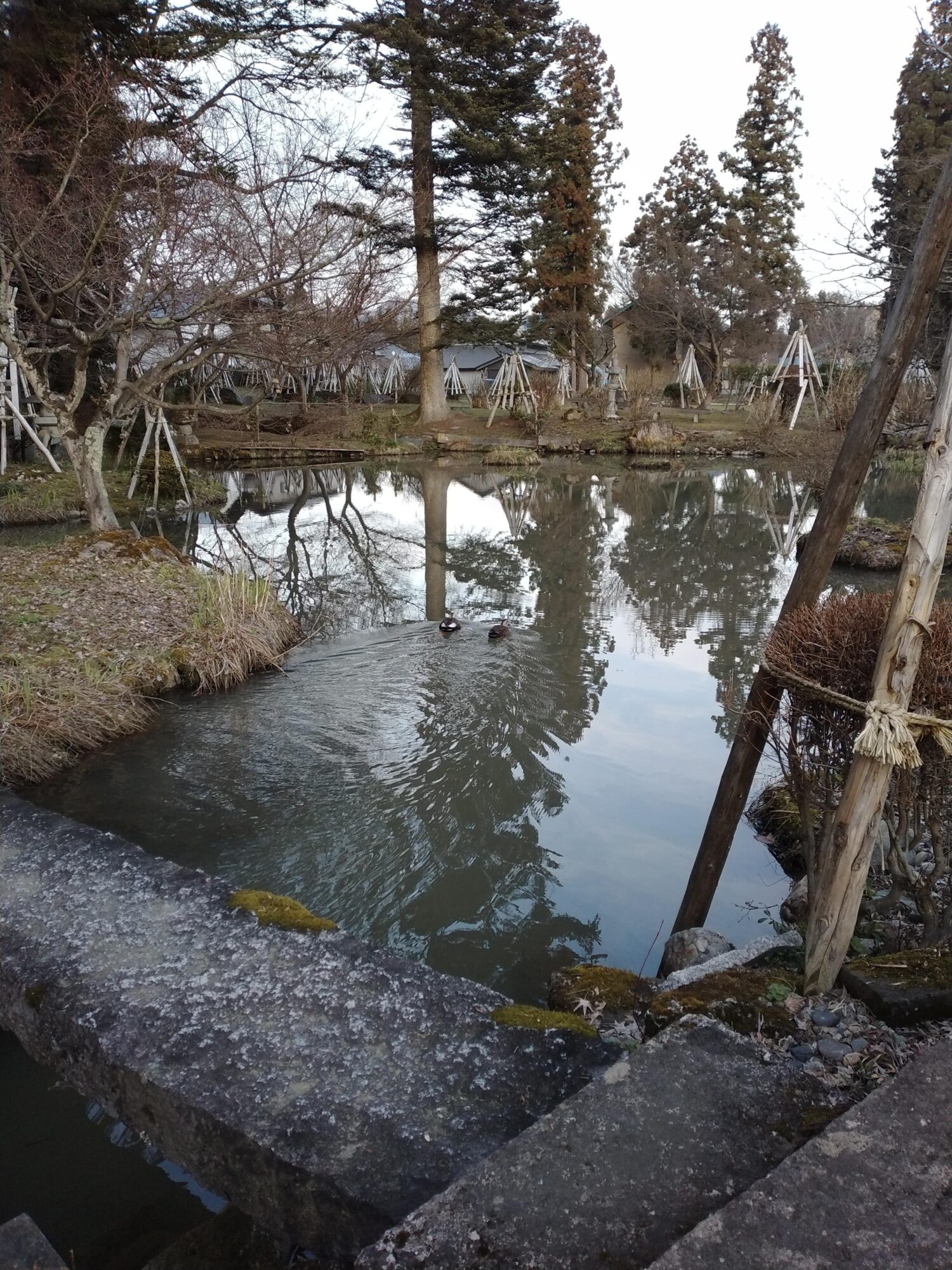 img_20230327_171938-jpg