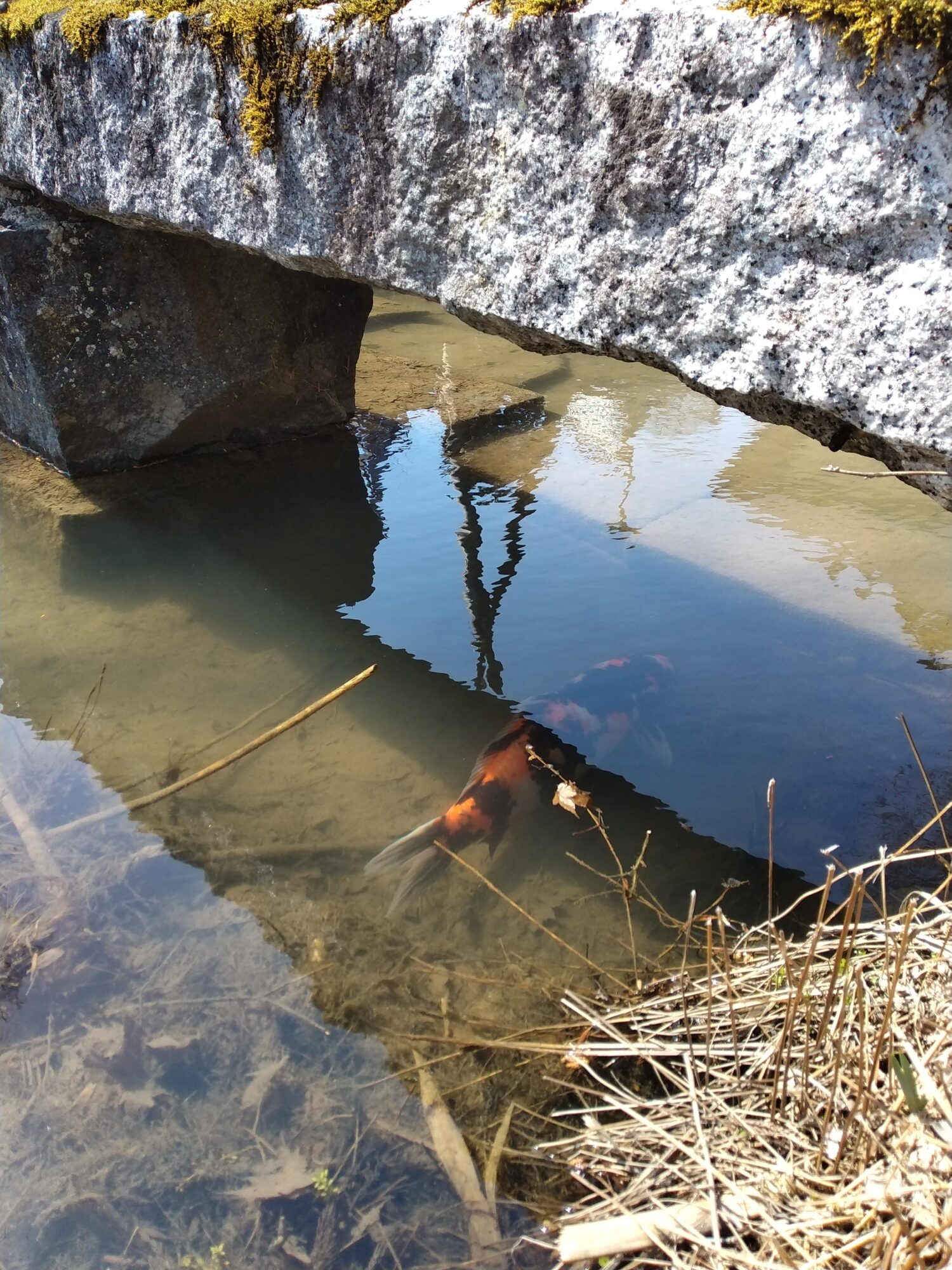 img_20230329_123902-jpg